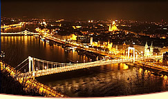 画像をクリックすると拡大されます。