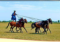 �摜���N���b�N����Ɗg�傳��܂��B