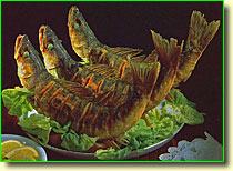 画像をクリックすると拡大されます。